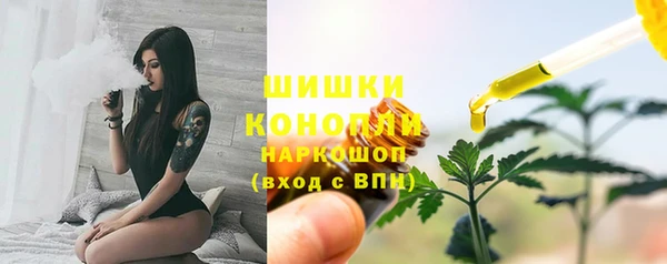 прущие крисы Белокуриха
