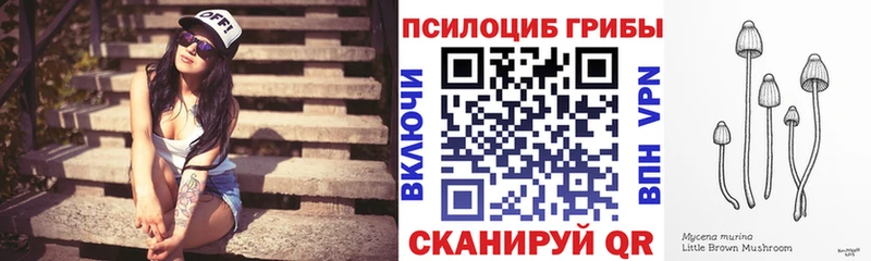 MEGA tor  Железногорск-Илимский  Псилоцибиновые грибы прущие грибы 